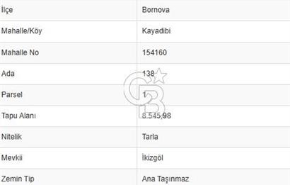 BORNOVA KAYADİBİ’NDE İKİZGÖL YANI YOLA CEPHET HARİKA YATIRIMLIK TARLA