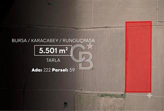 CB AMBIANCE'DAN KARACABEY/RUNGUÇPAŞA'DA 5.501 m² TARLA - 1 - 360581