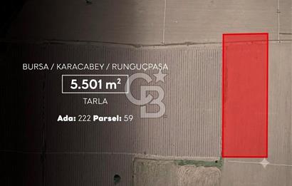 CB AMBIANCE'DAN KARACABEY/RUNGUÇPAŞA'DA 5.501 m² TARLA