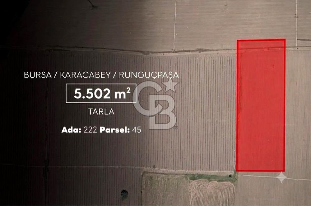 CB AMBIANCE'DAN KARACABEY/RUNGUÇPAŞA'DA 5.502 m² TARLA