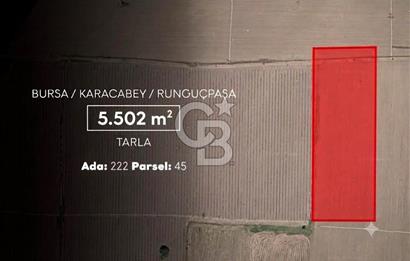 CB AMBIANCE'DAN KARACABEY/RUNGUÇPAŞA'DA 5.502 m² TARLA