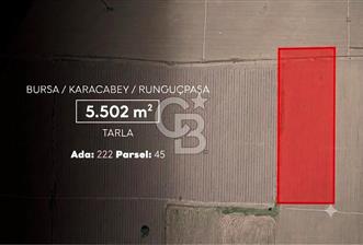 CB AMBIANCE'DAN KARACABEY/RUNGUÇPAŞA'DA 5.502 m² TARLA - 2 - 360579