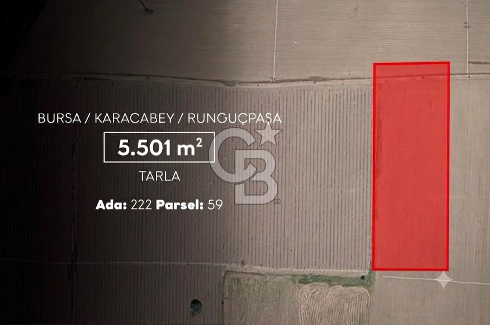 CB AMBIANCE'DAN KARACABEY/RUNGUÇPAŞA'DA 5.501 m² TARLA
