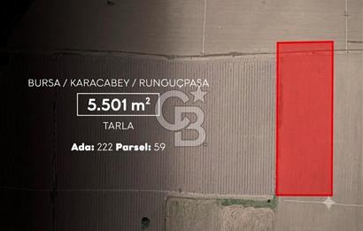 CB AMBIANCE'DAN KARACABEY/RUNGUÇPAŞA'DA 5.501 m² TARLA