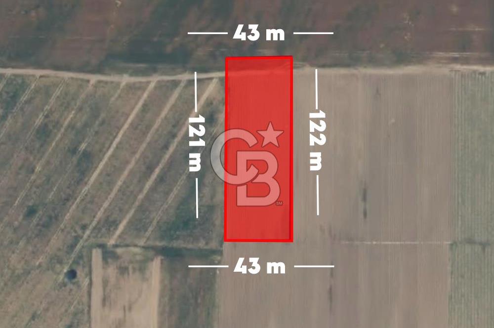 CB AMBIANCE'DAN KARACABEY/RUNGUÇPAŞA'DA 5.501 m² TARLA