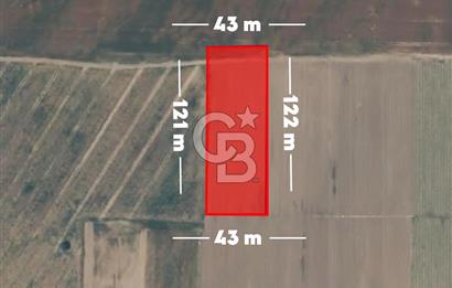 CB AMBIANCE'DAN KARACABEY/RUNGUÇPAŞA'DA 5.501 m² TARLA
