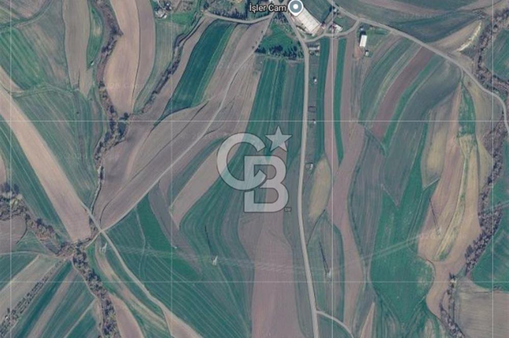 Tekirdağ Marmaraereğlisi Yakupluda 3905 M2 Satılık Fırsat Tarla