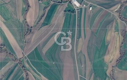 Tekirdağ Marmaraereğlisi Yakupluda 3905 M2 Satılık Fırsat Tarla