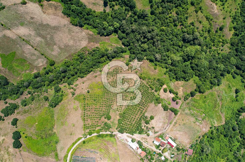 NÜZHETİYEDE DOĞA İÇİNDE 11.505 M² SATILIK EŞSİZ TARLA