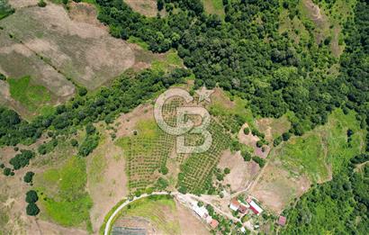 NÜZHETİYEDE DOĞA İÇİNDE 11.505 M² SATILIK EŞSİZ TARLA