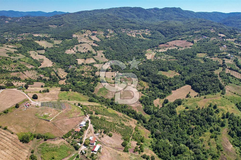 NÜZHETİYEDE DOĞA İÇİNDE 11.505 M² SATILIK EŞSİZ TARLA