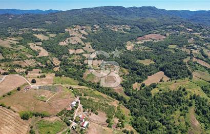NÜZHETİYEDE DOĞA İÇİNDE 11.505 M² SATILIK EŞSİZ TARLA