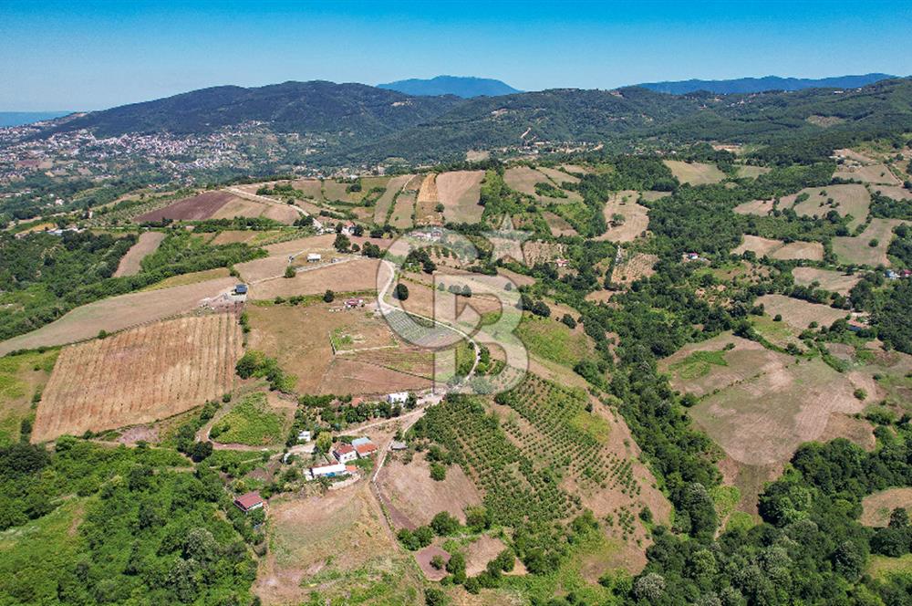 NÜZHETİYEDE DOĞA İÇİNDE 11.505 M² SATILIK EŞSİZ TARLA