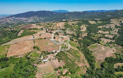 NÜZHETİYEDE DOĞA İÇİNDE 11.505 M² SATILIK EŞSİZ TARLA