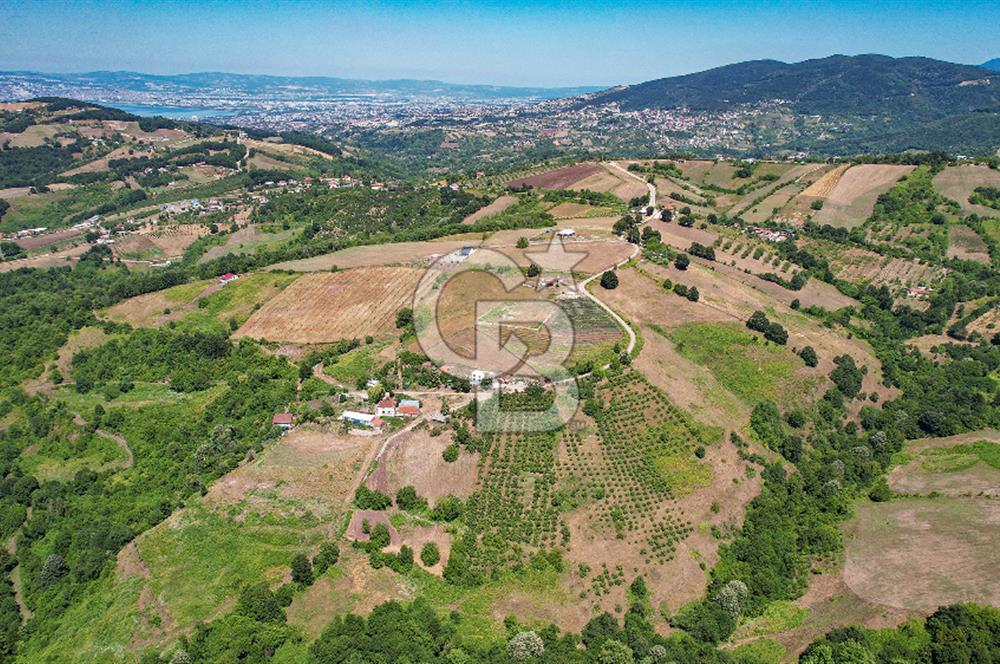 NÜZHETİYEDE DOĞA İÇİNDE 11.505 M² SATILIK EŞSİZ TARLA