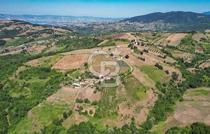 NÜZHETİYEDE DOĞA İÇİNDE 11.505 M² SATILIK EŞSİZ TARLA
