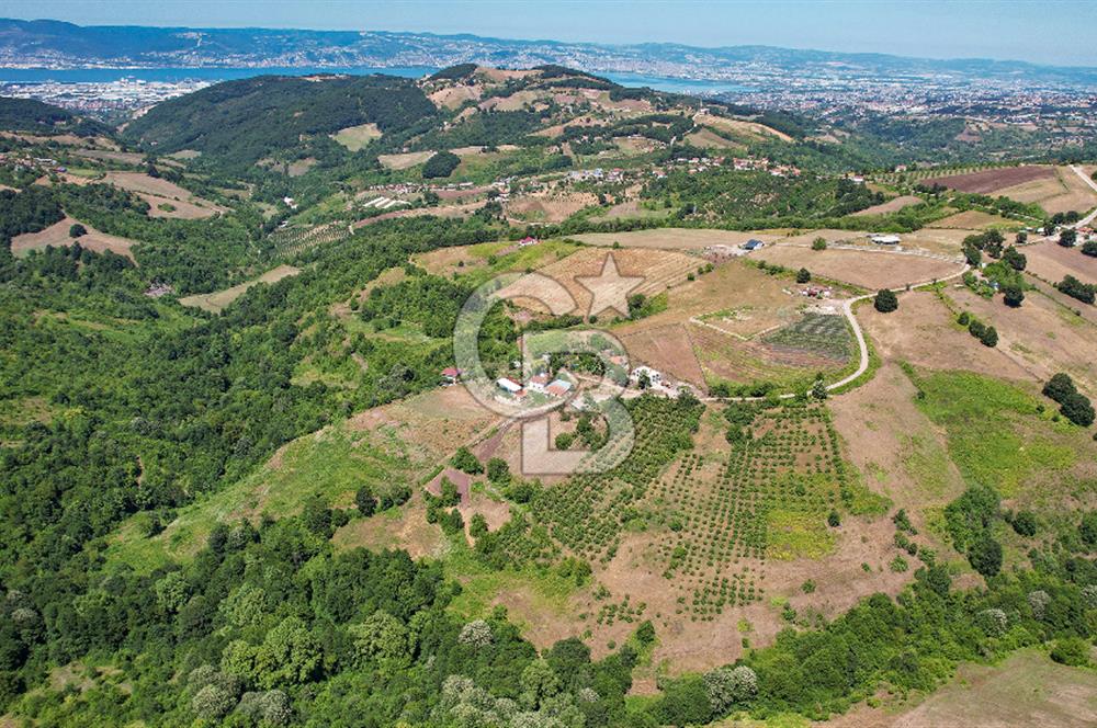 NÜZHETİYEDE DOĞA İÇİNDE 11.505 M² SATILIK EŞSİZ TARLA