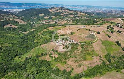 NÜZHETİYEDE DOĞA İÇİNDE 11.505 M² SATILIK EŞSİZ TARLA