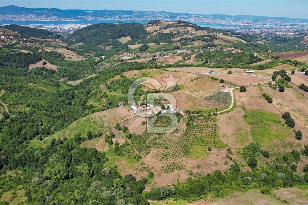 NÜZHETİYEDE DOĞA İÇİNDE 11.505 M² SATILIK EŞSİZ TARLA