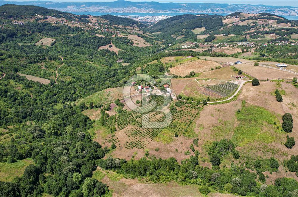 NÜZHETİYEDE DOĞA İÇİNDE 11.505 M² SATILIK EŞSİZ TARLA