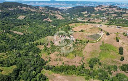 NÜZHETİYEDE DOĞA İÇİNDE 11.505 M² SATILIK EŞSİZ TARLA