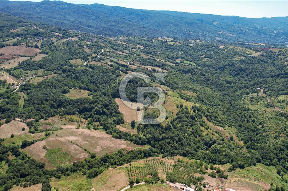 NÜZHETİYEDE DOĞA İÇİNDE 11.505 M² SATILIK EŞSİZ TARLA