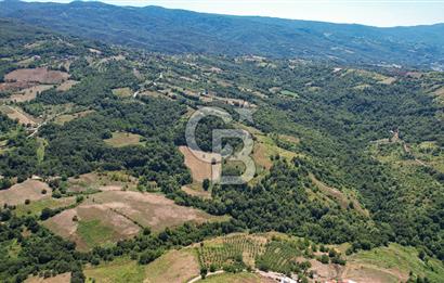 NÜZHETİYEDE DOĞA İÇİNDE 11.505 M² SATILIK EŞSİZ TARLA