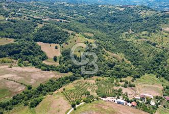 NÜZHETİYEDE DOĞA İÇİNDE 11.505 M² SATILIK EŞSİZ TARLA - 1 - 360622