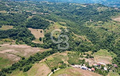 NÜZHETİYEDE DOĞA İÇİNDE 11.505 M² SATILIK EŞSİZ TARLA