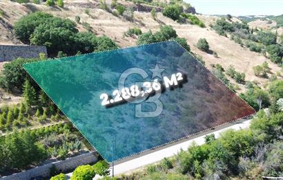 AYAŞ KARADEREDE SATILIK BAĞ MERKEZE YÜRÜME MESAFESİ