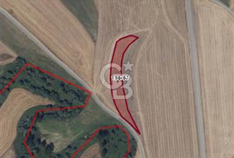 Tekirdağ Marmaraereğlisi Yakupluda 3905 M2 Satılık Fırsat Tarla - 1 - 360593