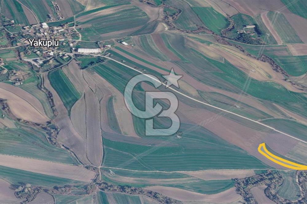 Tekirdağ Marmaraereğlisi Yakupluda 3905 M2 Satılık Fırsat Tarla
