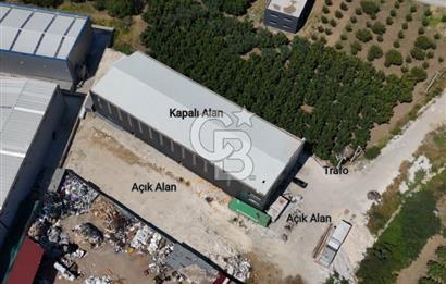 KAYTAZDEREDE 250 KW TRAFOLU 15 TON VİNÇLİ SATILIK FABRİKA