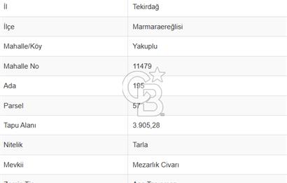 Tekirdağ Marmaraereğlisi Yakupluda 3905 M2 Satılık Fırsat Tarla