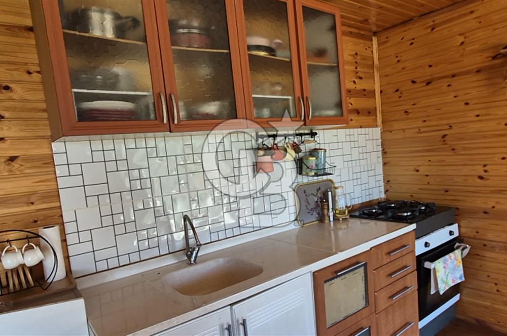 AYAŞ KARADERE BAĞLARINDA 1594 M² BAĞ