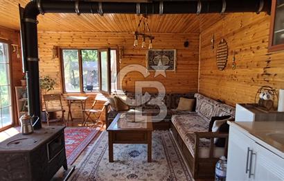 AYAŞ KARADERE BAĞLARINDA 1594 M² BAĞ