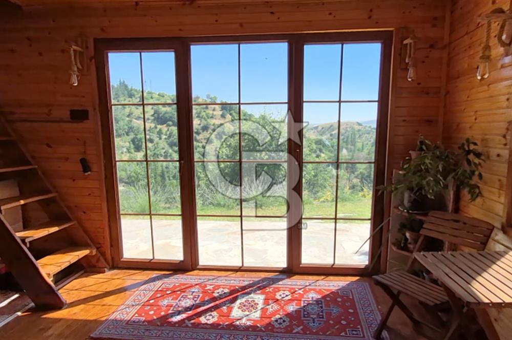 AYAŞ KARADERE BAĞLARINDA 1594 M² BAĞ