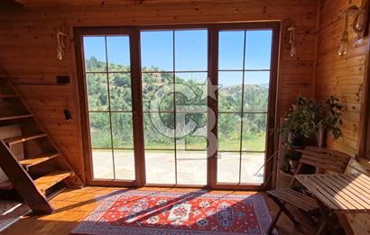 AYAŞ KARADERE BAĞLARINDA 1594 M² BAĞ