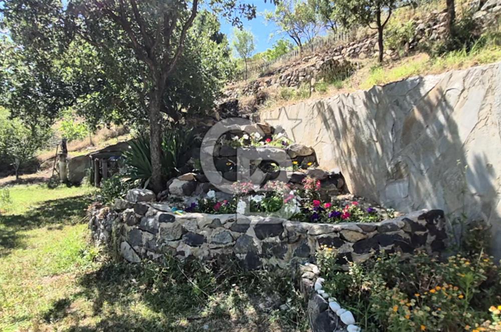AYAŞ KARADERE BAĞLARINDA 1594 M² BAĞ