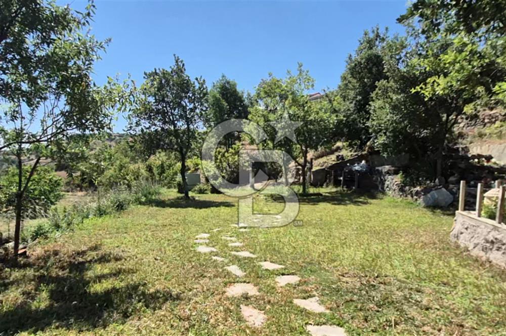 AYAŞ KARADERE BAĞLARINDA 1594 M² BAĞ