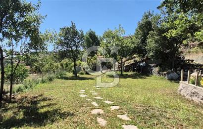 AYAŞ KARADERE BAĞLARINDA 1594 M² BAĞ