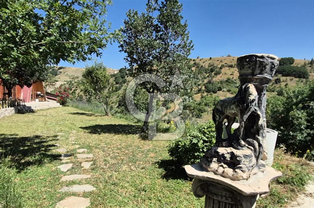 AYAŞ KARADERE BAĞLARINDA 1594 M² BAĞ