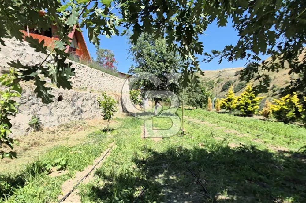 AYAŞ KARADERE BAĞLARINDA 1594 M² BAĞ