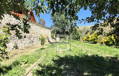 AYAŞ KARADERE BAĞLARINDA 1594 M² BAĞ