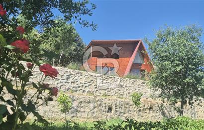 AYAŞ KARADERE BAĞLARINDA 1594 M² BAĞ