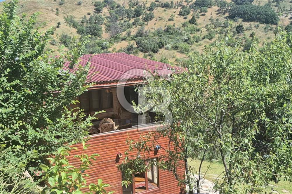 AYAŞ KARADERE BAĞLARINDA 1594 M² BAĞ