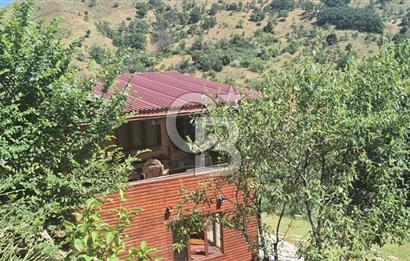 AYAŞ KARADERE BAĞLARINDA 1594 M² BAĞ