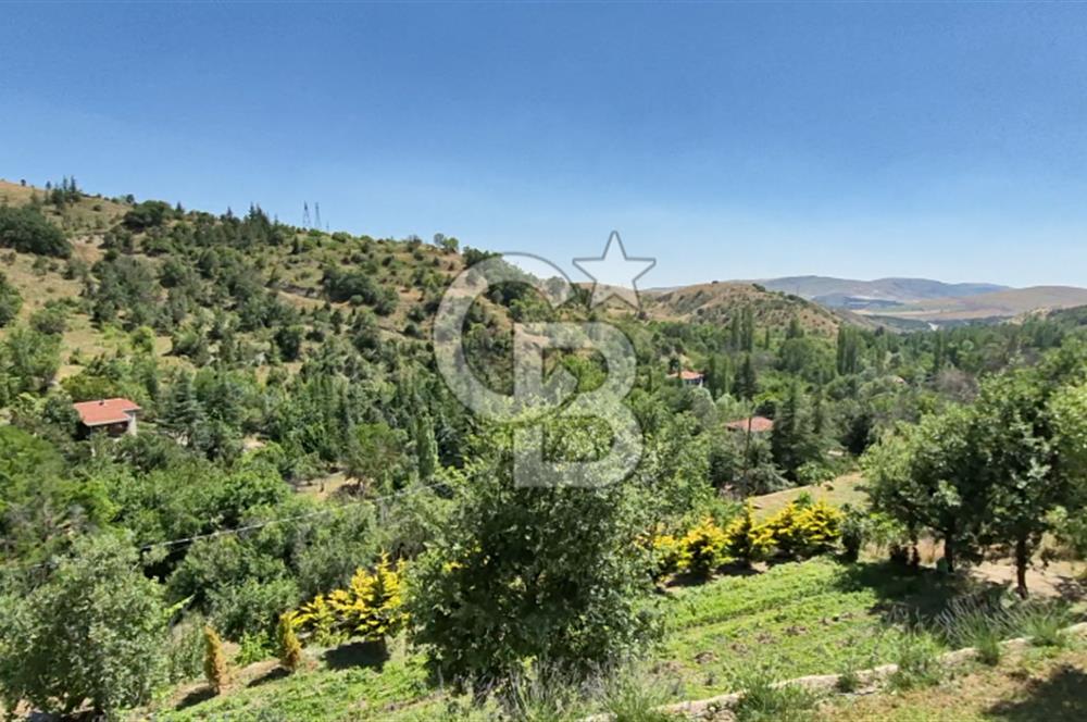 AYAŞ KARADERE BAĞLARINDA 1594 M² BAĞ