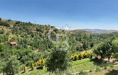 AYAŞ KARADERE BAĞLARINDA 1594 M² BAĞ