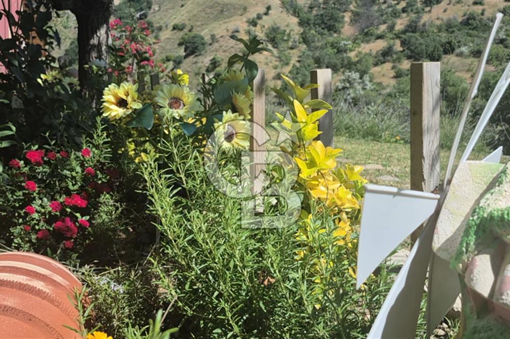 AYAŞ KARADERE BAĞLARINDA 1594 M² BAĞ